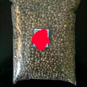 火麻子