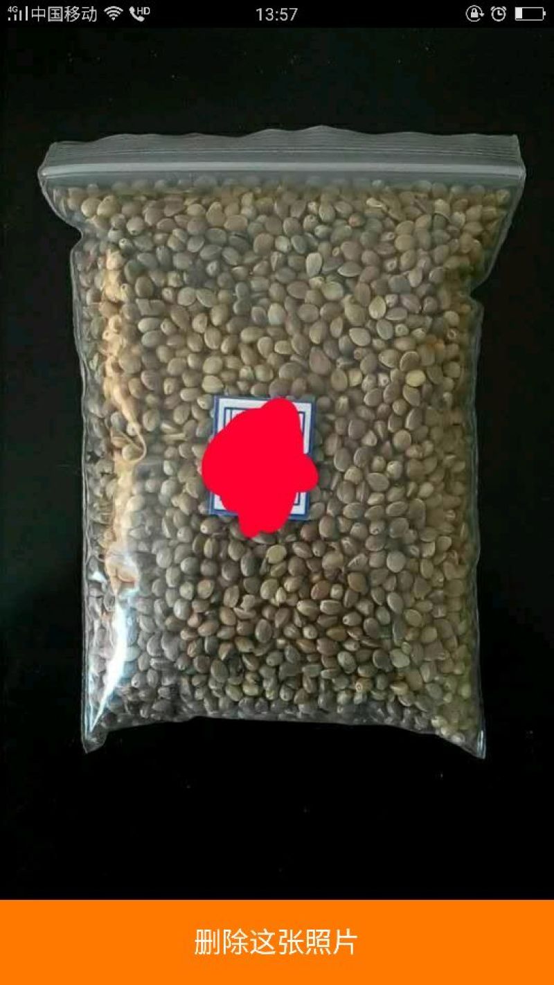 火麻子
