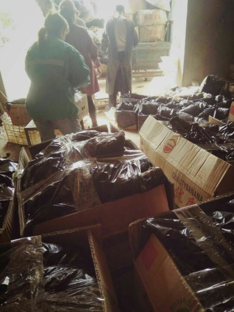 生姜大黄姜小黄姜可种植质量保证产地直发对接全国发货