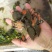 鳖纯种外塘自然中华甲鱼苗
