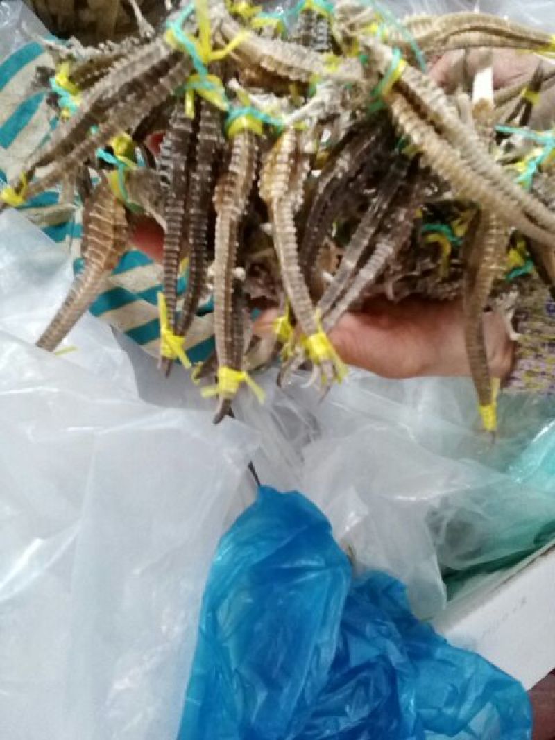 虾干一级