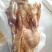 烧鸡