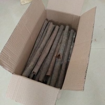 广西桂皮优质中通桂皮产地批发