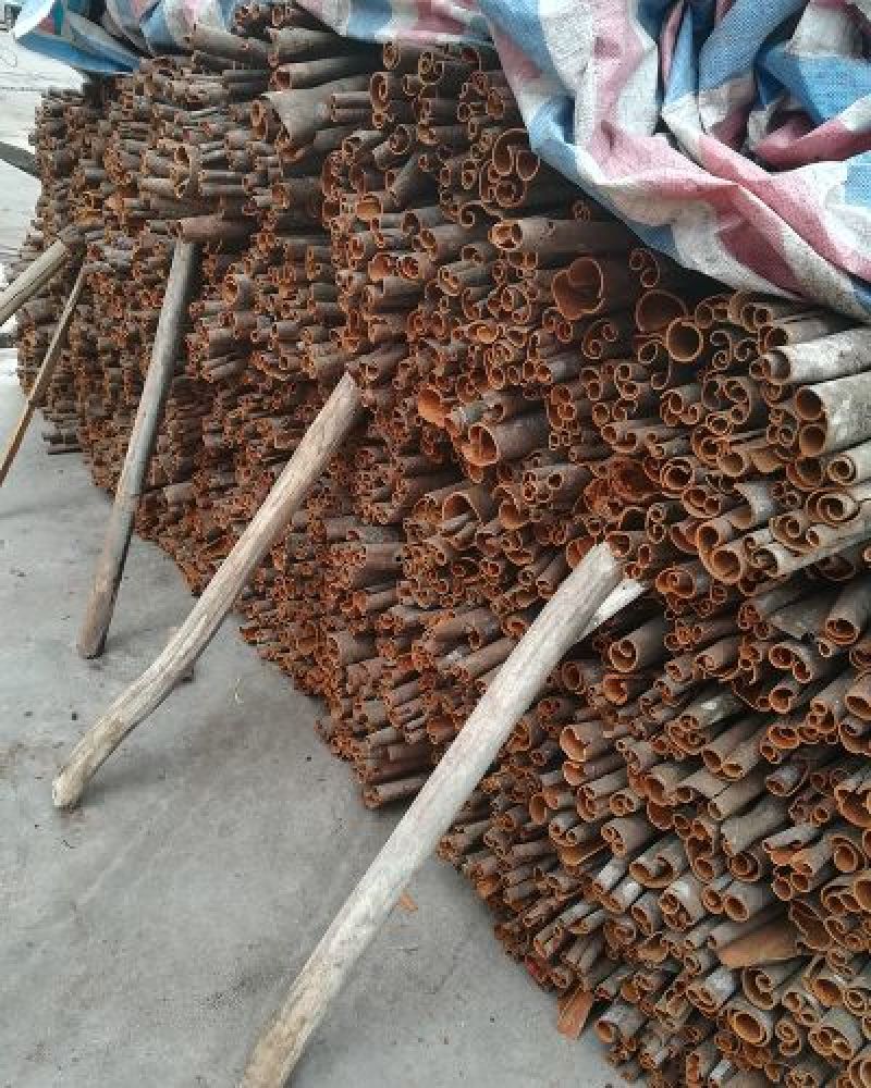 广西桂皮优质中通桂皮产地批发