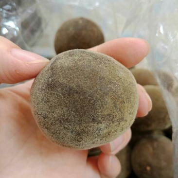 橘红化州产地直供