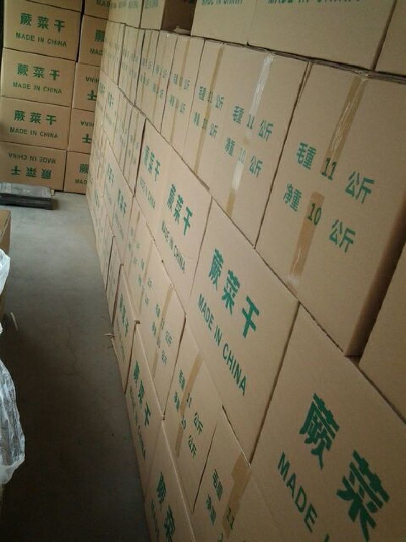 蕨菜山野菜龙爪菜，拳菜