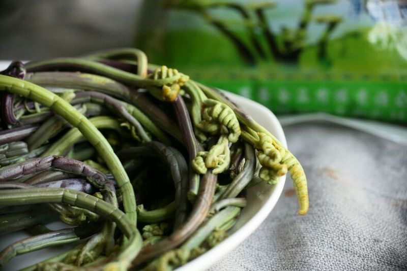 蕨菜山野菜龙爪菜，拳菜