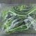 蕨菜山野菜龙爪菜，拳菜