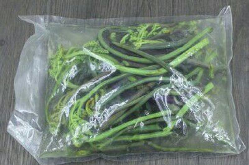 蕨菜山野菜龙爪菜，拳菜