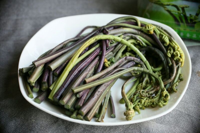 蕨菜山野菜龙爪菜，拳菜