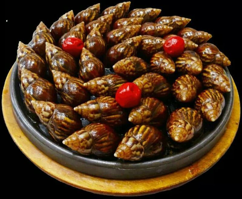 白玉蜗牛