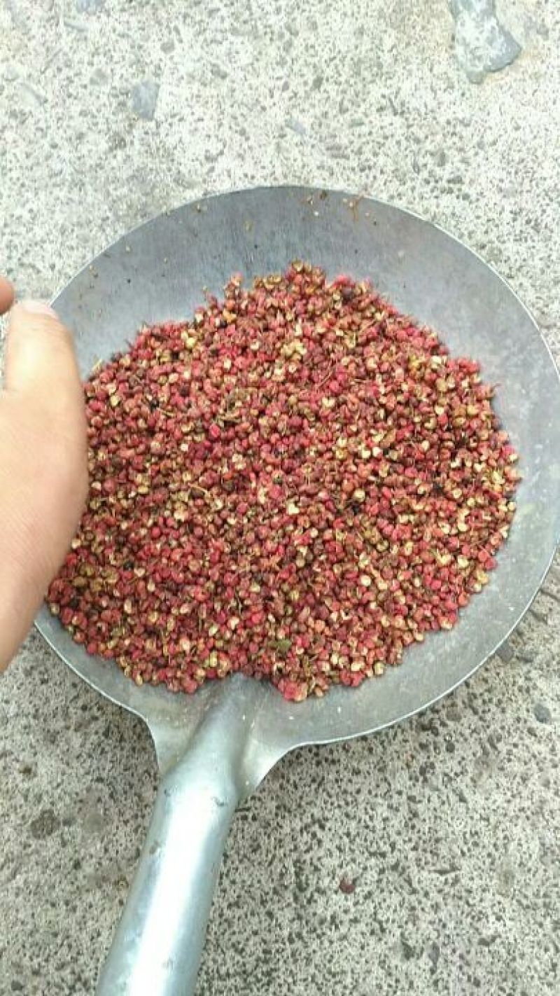 2025年陕西大红袍特级精品净货