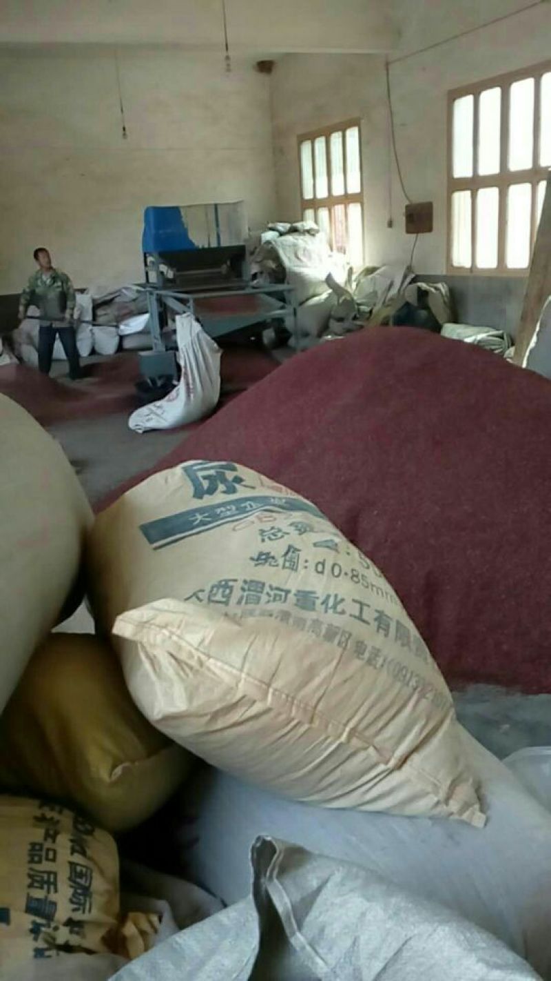 2025年陕西大红袍特级精品净货