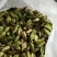 野蚕豆野蚕豆红花，黄花