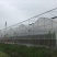 温室大棚蔬菜大棚养殖保温棚