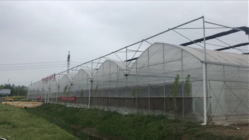 温室大棚蔬菜大棚养殖保温棚