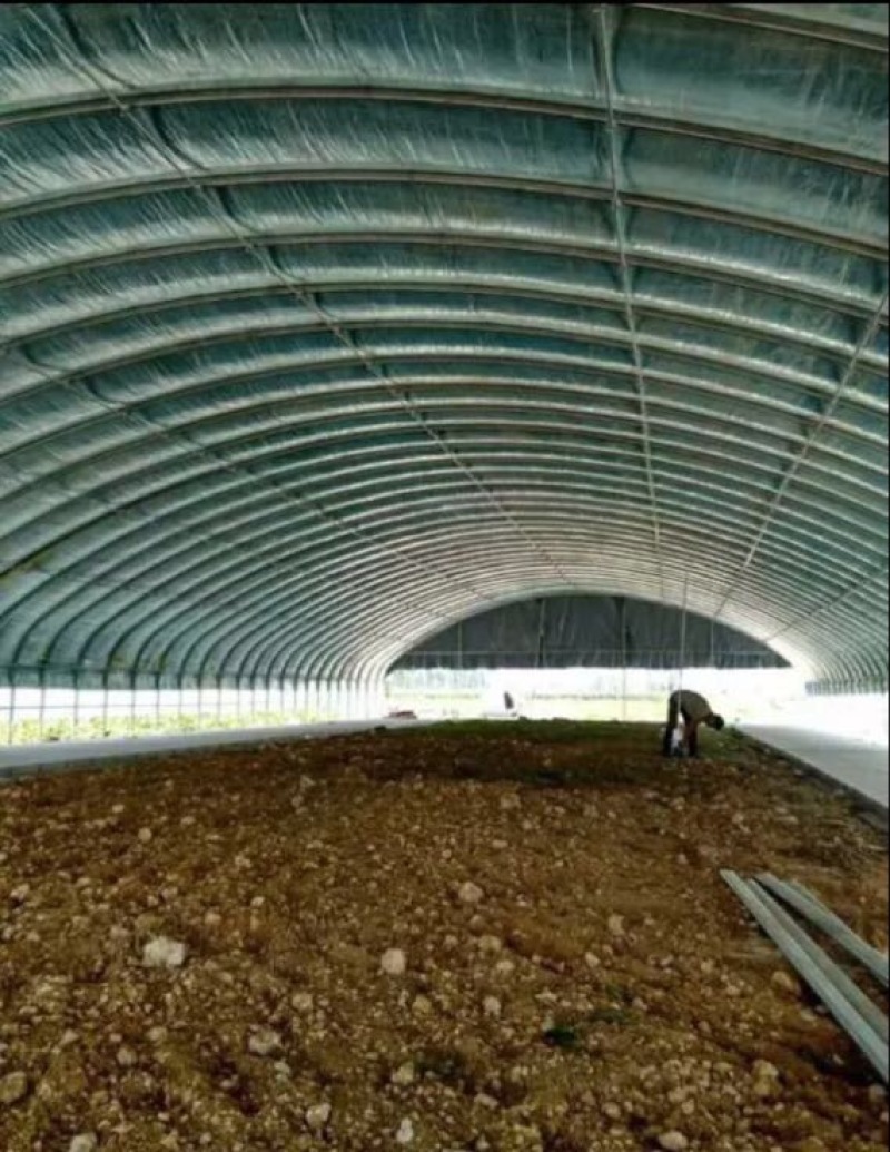 温室大棚蔬菜大棚养殖保温棚