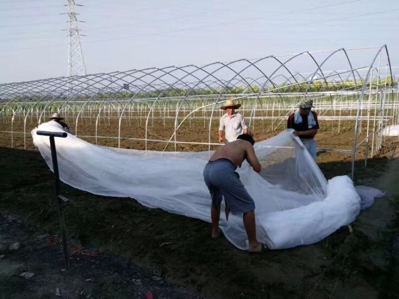 温室大棚蔬菜大棚养殖保温棚