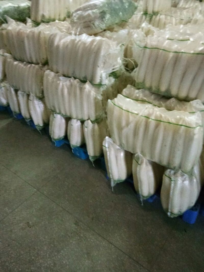 沙洋精品白萝卜大量上市，主要以商超供应，生鲜蔬菜，