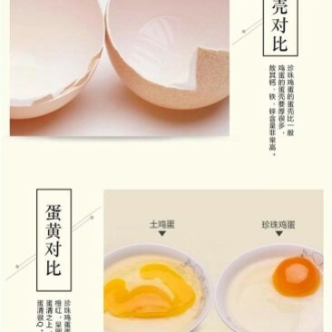 珍珠鸡蛋40~50g食用
