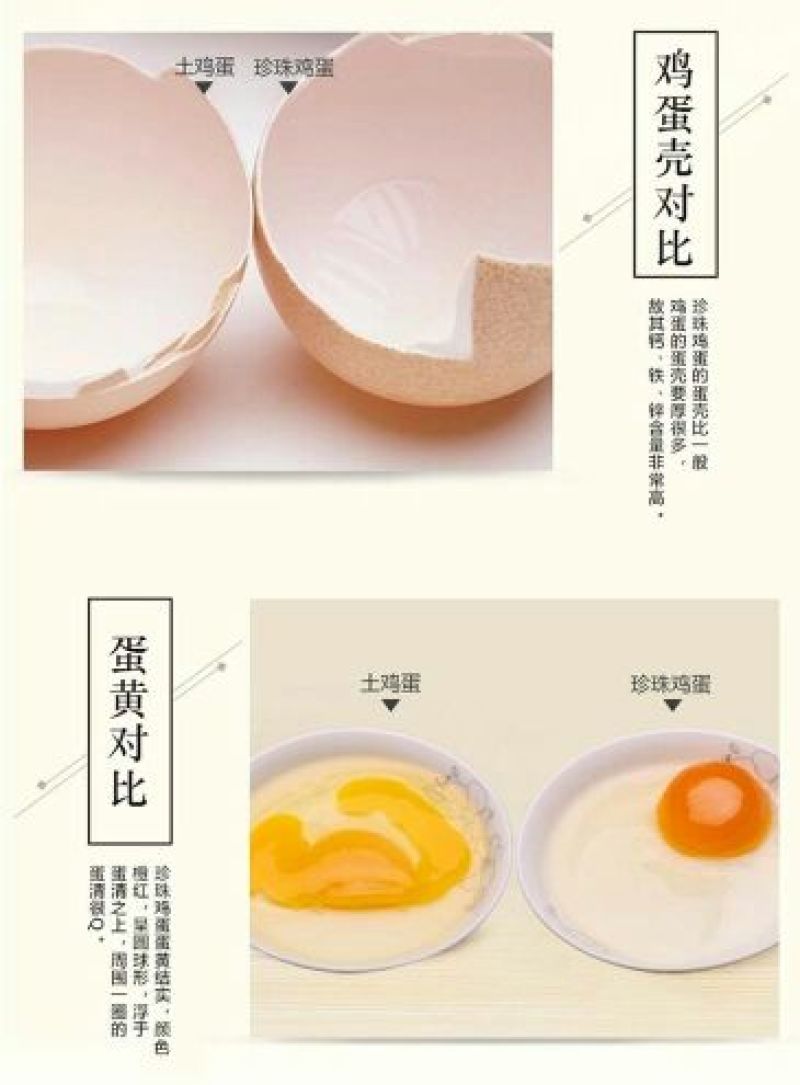 珍珠鸡蛋40~50g食用