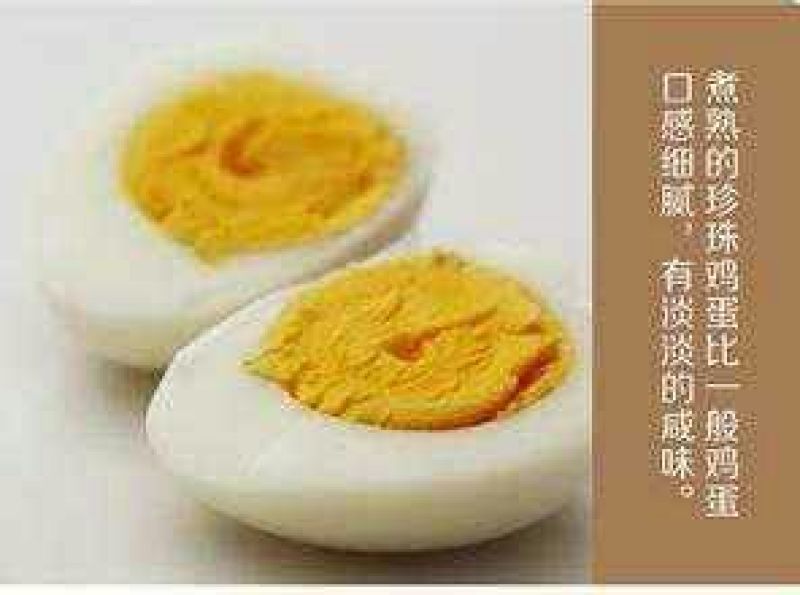珍珠鸡蛋40~50g食用