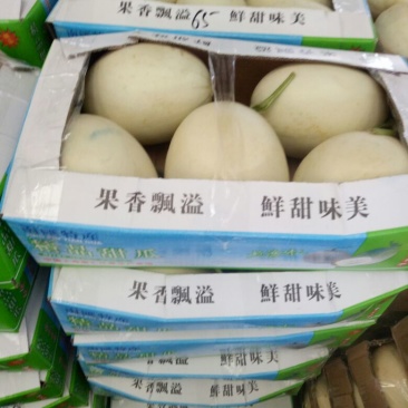 玉姑甜瓜精品2斤以上