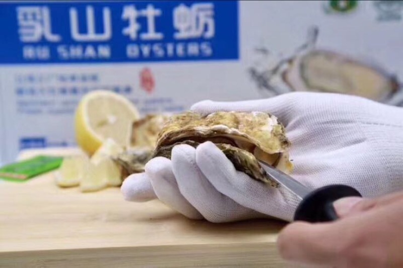 乳山生蚝乳山牡蛎鲜活6~8只/斤150斤批发