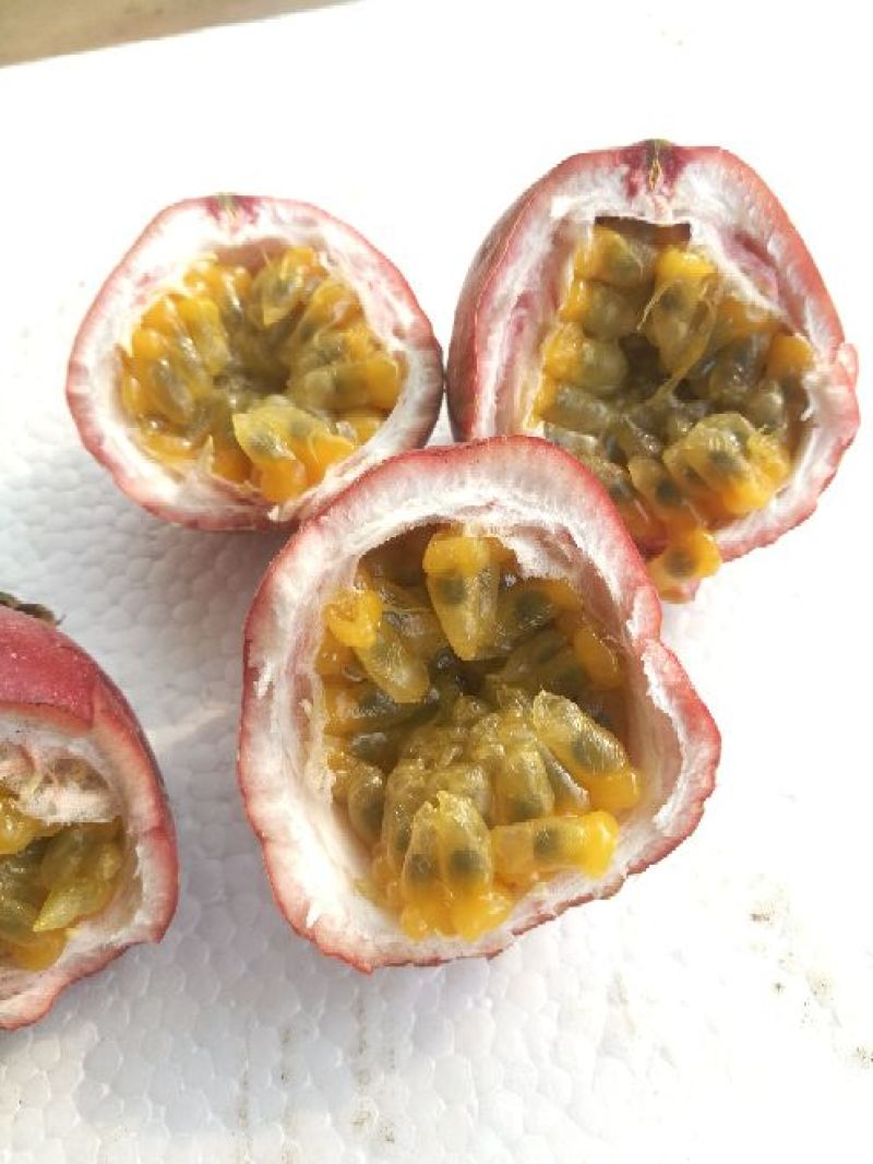 百香果70~80g紫果
