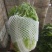 夏阳白菜净菜2~3斤