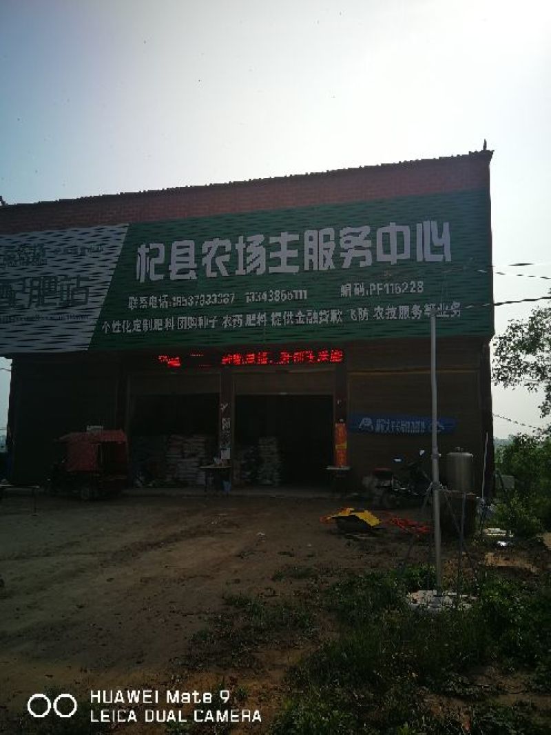 大蒜混级统货鲜蒜
