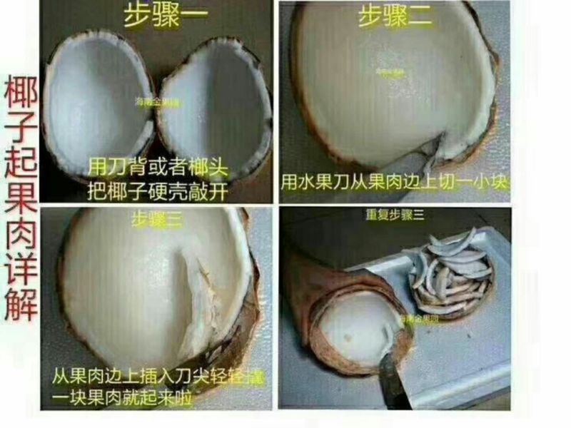海南椰子1.5~2斤