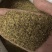 新产蒲公英种子籽野菜婆婆丁种植药食用种四季播种多年生种籽