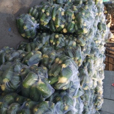 水果萝卜1~1.5斤起