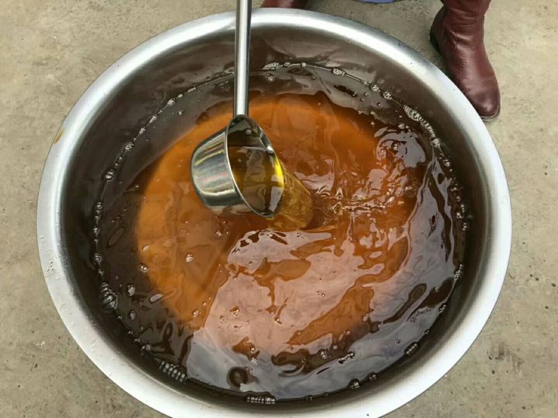 山茶果大籽