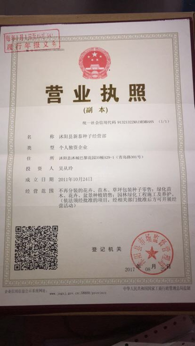 荞麦种子甜荞麦苦荞麦养蜂蜜源牧草种子黑苦荞
