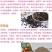 荞麦种子甜荞麦苦荞麦养蜂蜜源牧草种子黑苦荞