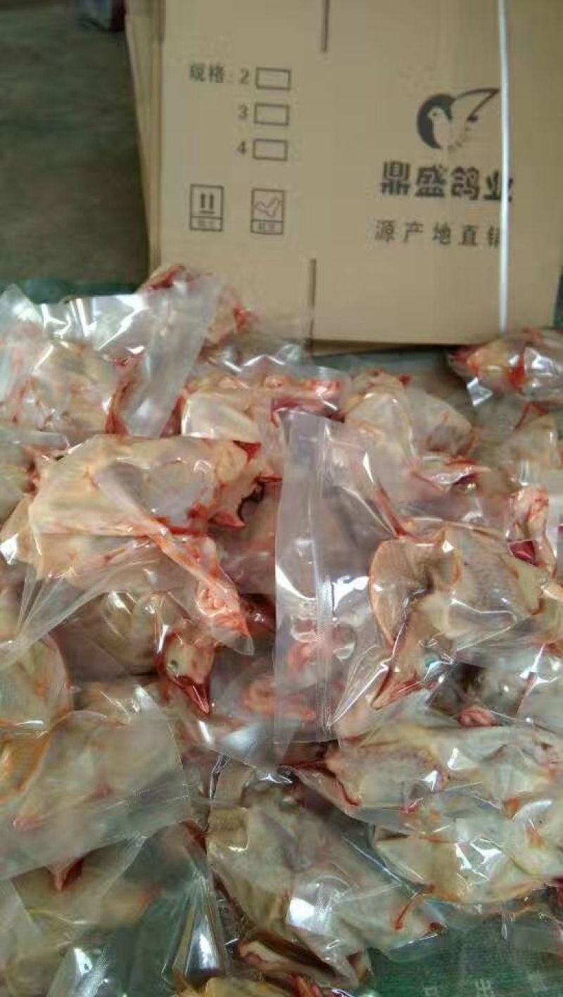 冰冻乳鸽，先杀先保鲜！价格漂亮！买到就是赚到！