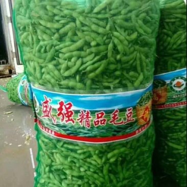 绿宝石毛豆12~18克，个头饱满