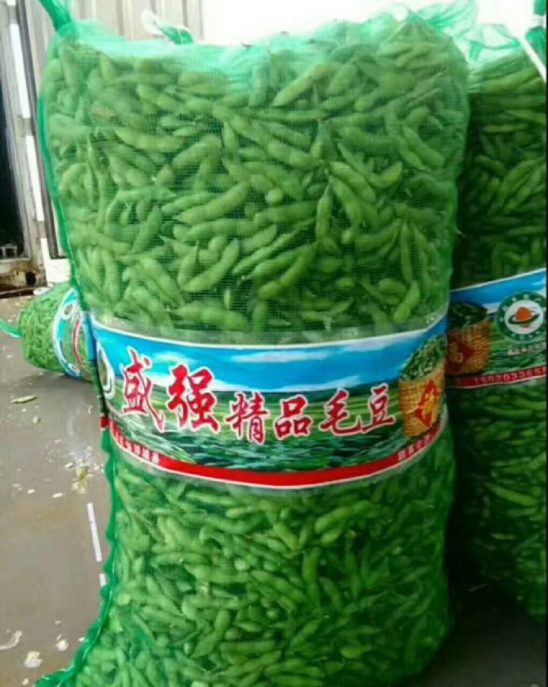 绿宝石毛豆12~18克，个头饱满