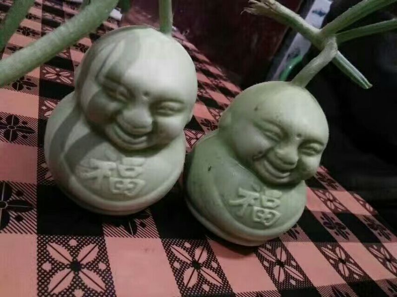甜瓜统货1斤以上