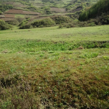 山地大面积土地寻找合作伙伴或者出租出售