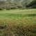 山地大面积土地寻找合作伙伴或者出租出售