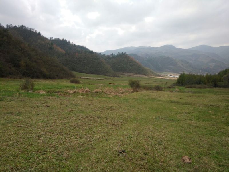 山地大面积土地寻找合作伙伴或者出租出售