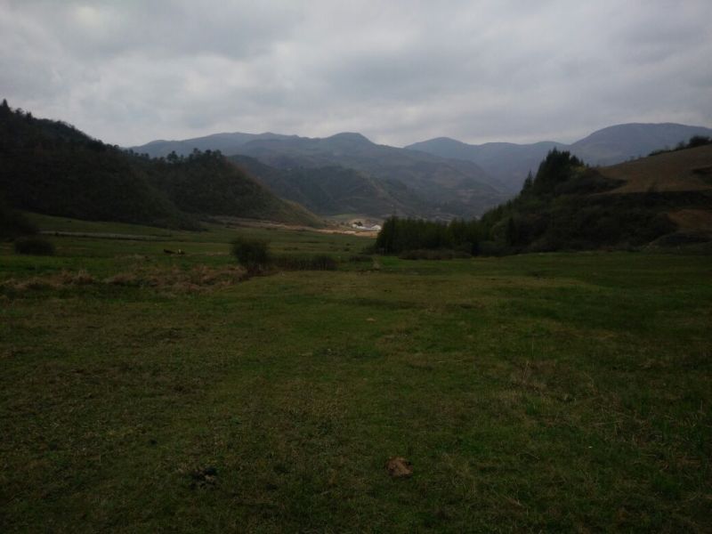 山地大面积土地寻找合作伙伴或者出租出售