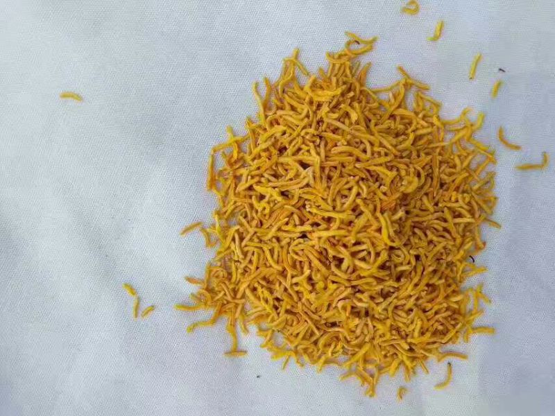 牡丹花蕊雄性花蕊人工挑选***自然晾晒干净无杂