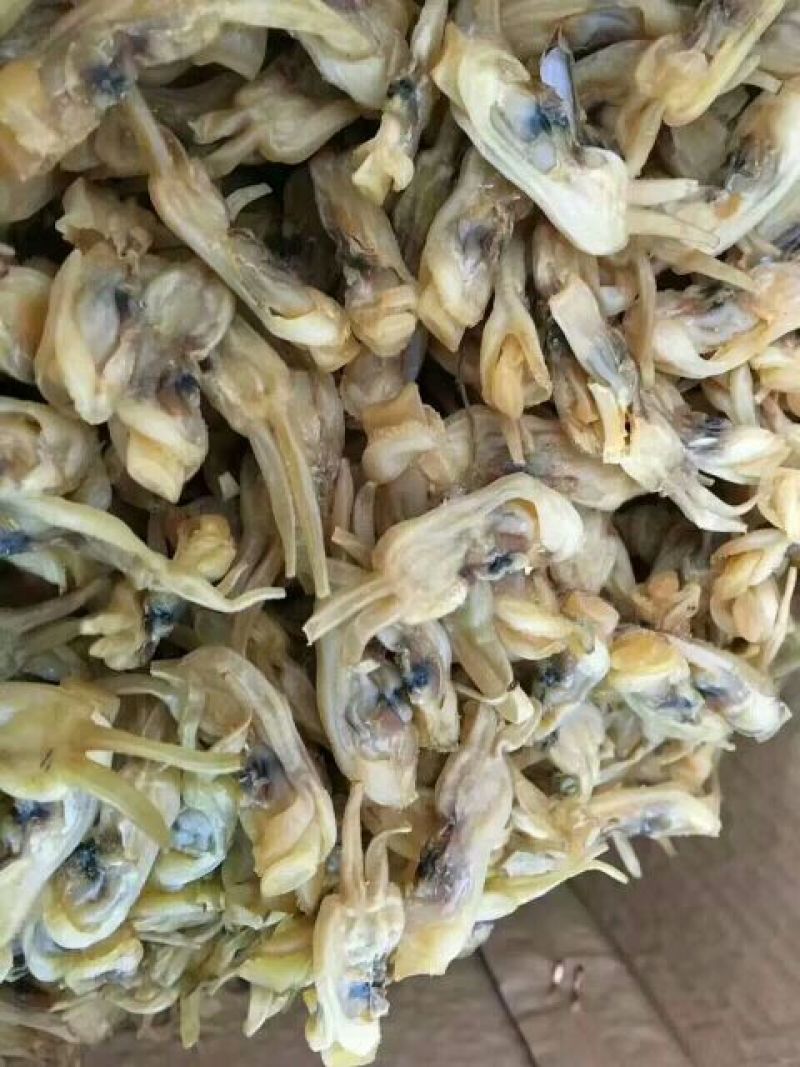 海蛏干