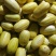 黄甜宝甜瓜通货0.5斤以上