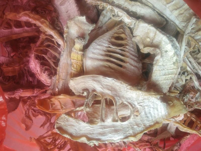 笋干淡笋干