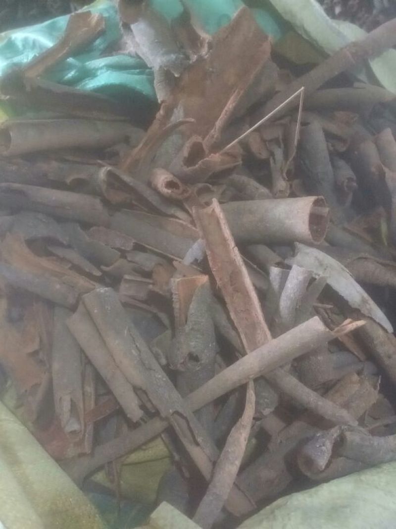 桂碎包装一级